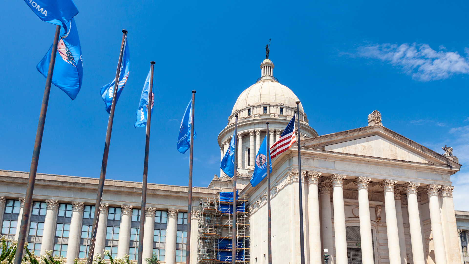 Four Steps of the Advocacy Cycle